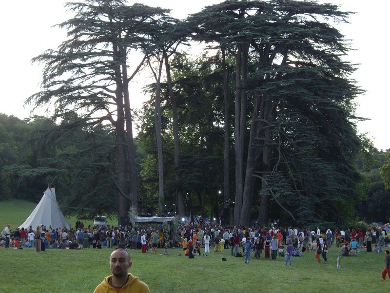 la magnifique scene entouré d'arbres géants