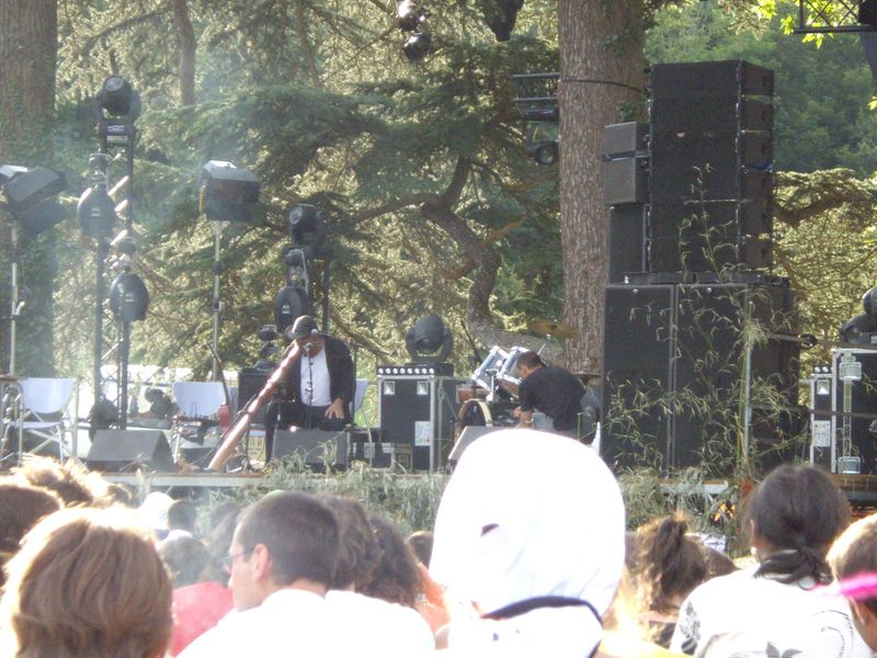 mark atkins